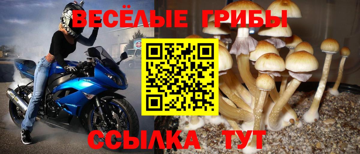 Галлюциногенные грибы ЛСД  Вход с VPN  Лабытнанги  Псилоцибиновые грибы прущие грибы 