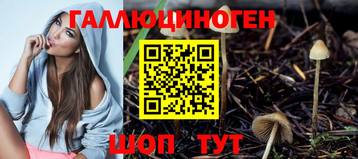 Галлюциногенные грибы мухоморы Лабытнанги